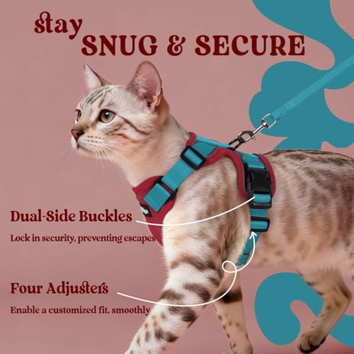 Cat Harness and Leash Set (M / Red & Teal)