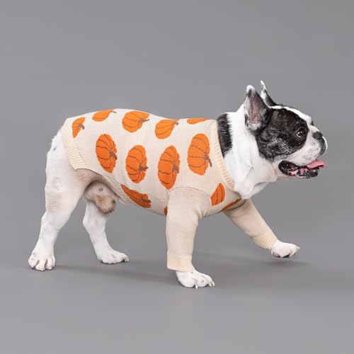 Pumpkin Dog Sweater (XX-Large / Pumpkin)