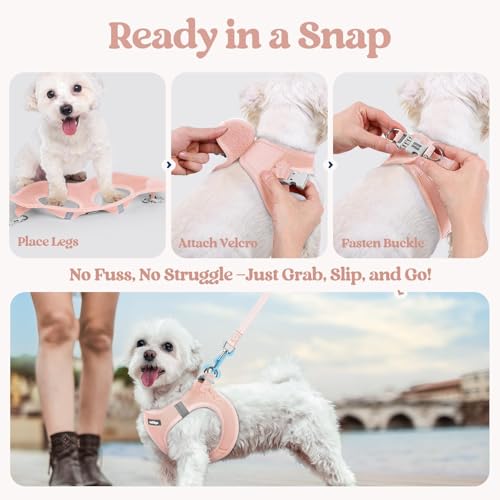 Dog Harness Small Sized and Leash Set (Pink / Xxxs (chest: 10.8 - 11.8"))