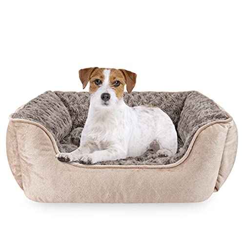 Rectangle Dog Bed for Large Medium Small Dogs Machine Washable Sleeping Dog Sofa Bed Non (Beige / M(25"x 21"x 8"))