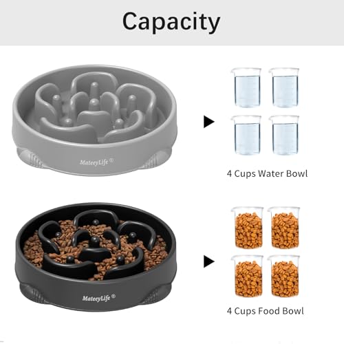 2 Pack Slow Feeder Dog Bowls (B-Gray&Black / Large)