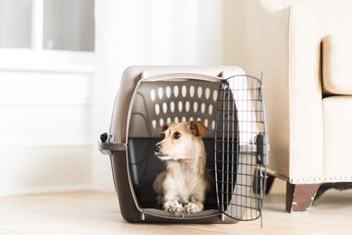 Dog Crate for Small Dogs and Cat Carrier (Two-door / 24.0"L x 16.8"W x 14.5"H / Pearl Tan)