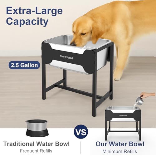 2.5 Gallon Elevated Dog Water Bowl for Large Breeds (16.5in Height)