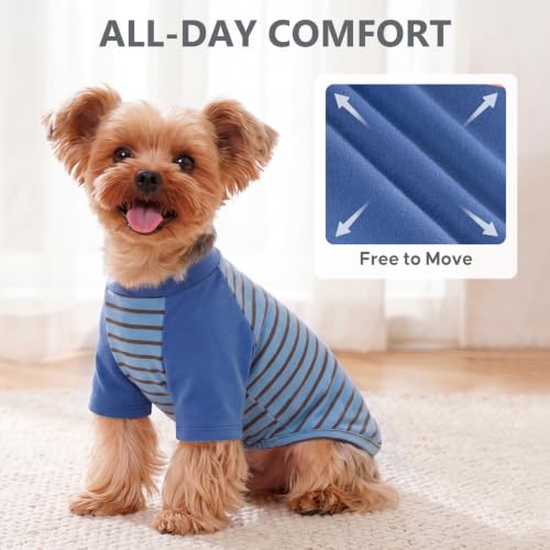 2Pack Dog Sweater with Sleeves Fleece Shirt for Small Dogs (Small (4-8lbs) / 02# Blue+Stripe)