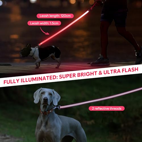 LED Dog Leash (Pink)