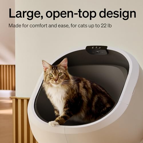Automatic Litter Box with Accessories Kit (White / Self Cleaning Litter Box+ACC Kit)
