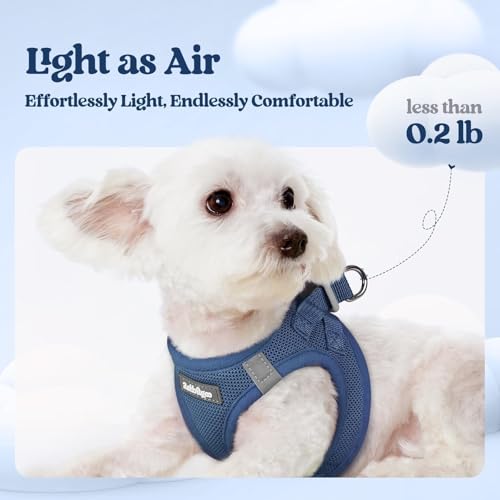 Dog Harness Small Sized and Leash Set (Navy Blue / Xs (chest: 13.3 - 15.5"))