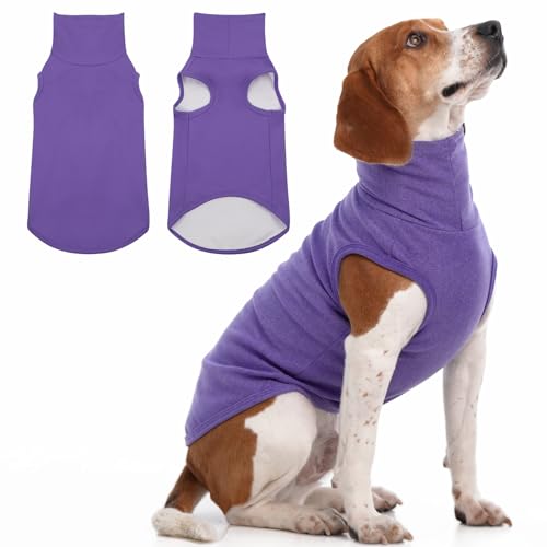 XL Dog Sweater (X-Large / Purple)