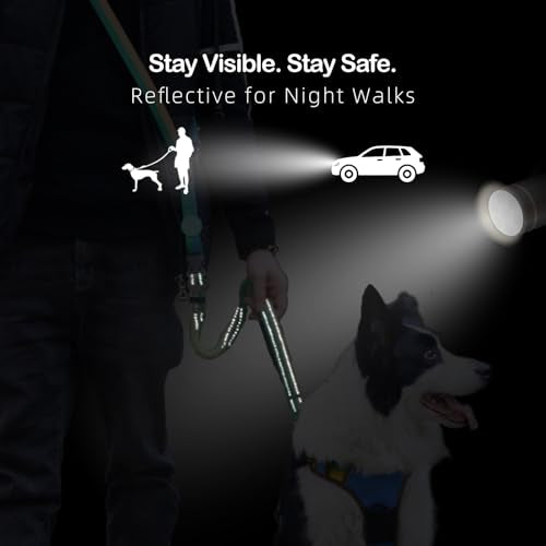 Hands Free Dog Leash with Waist Belt for Running & Walking (Tropical Wave)