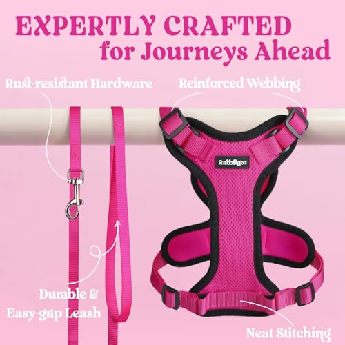 Cat Harness and Leash Set (Xs / Rose Red)