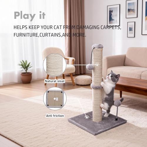 Cat Scratching Post Premium Basics Kitten Scratcher Sisal Scratch Posts with Hanging Ball 22" for Kittens or Smaller Cats (22 inches for kitten / Gray)