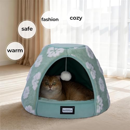 Cat Beds for Indoor Cats (19"L x 19"W x 16"Th / Green)