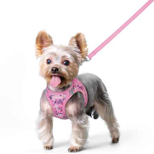 Dog Harness Small Sized and Leash Set (Pink Floral / Xs (chest: 13.3 - 15.5"))