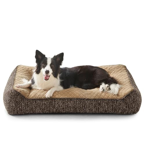 XL Orthopedic Dog Beds Large Sized Dog (L Plus(38"L x 28"W x 8"Th) / Brown)