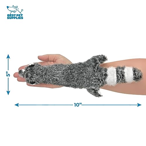 2-in-1 Stuffless Squeaky Dog Toy - Fox, Raccoon, Small (Multicolor/Raccoon & Fox / Small)