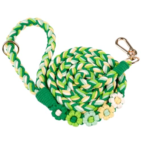 5FT Braided Cotton Rope Leash for Small (Mint Meadow)