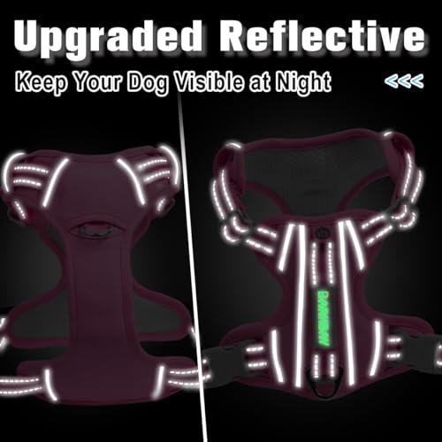 No Pull Dog Harness for Small Sized Dogs (Small(Chest:19.5-26”) / Pink-Oxford)