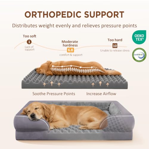 Waterproof Orthopedic Dog Beds for Large Sized Dog (38.0"L x 25.0"W x 7.0"Th / Purple)