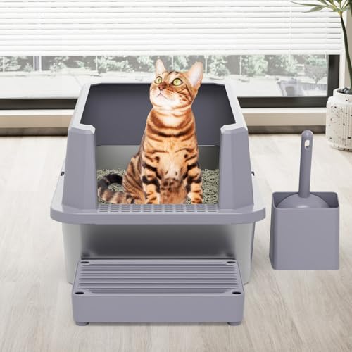 Open Cat Litter Box (Gray, 1 Pack)