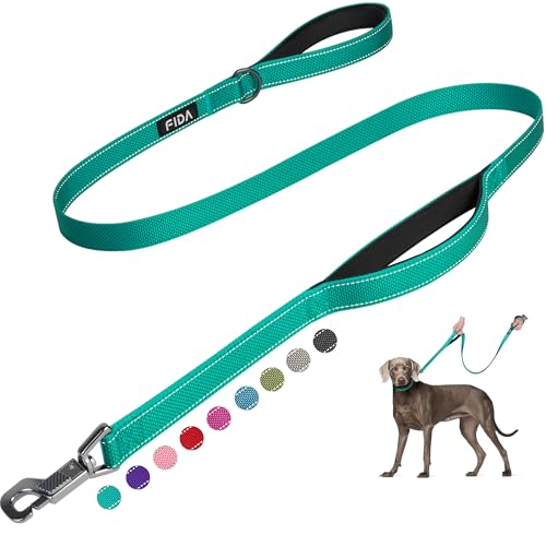 Heavy Duty Dog Leash for Medium Large Dogs (4 Feet (Pack of 1) / Teal)