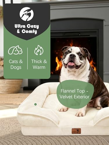 Orthopedic Dog Bed with Sides (35.0"L x 25.0"W x 6.5"Th / Ivory)