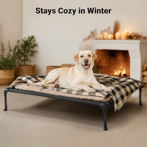 Outdoor Elevated Dog Bed Large Sized Dogs (42.0"L x 30.0"W x 7.0"Th / Black Silver)