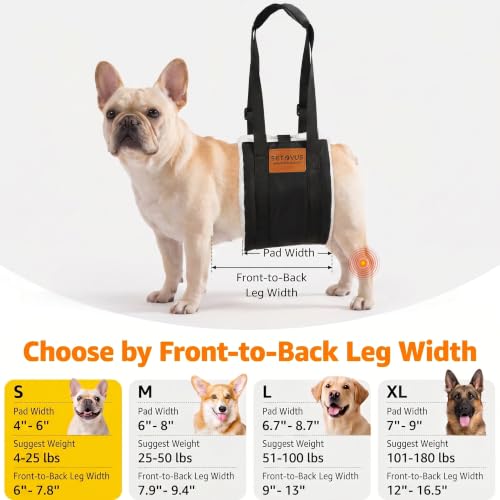Adjustable Dog Lifting Harness (Black / Small)