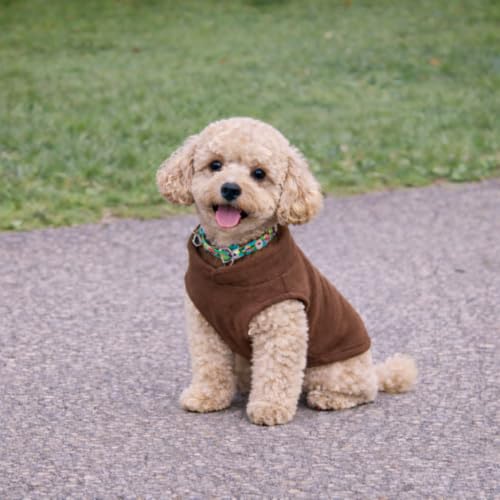 Dog Fleece Vest Sweater with Leash Ring (XXL (25-35lbs) / Chocolate Brown)