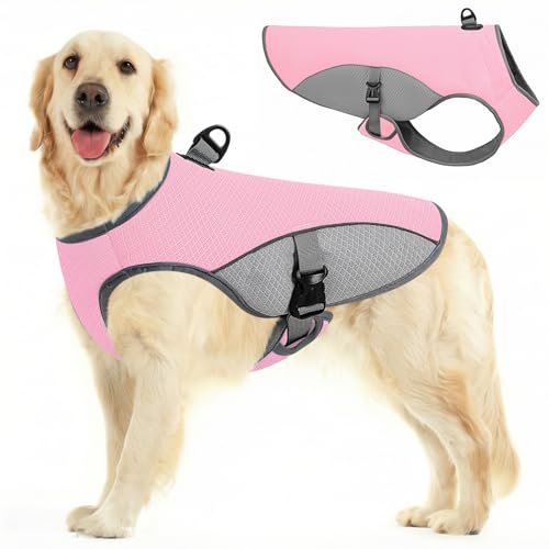 Cooling Vest for Extra (Pink / XXX-Large)