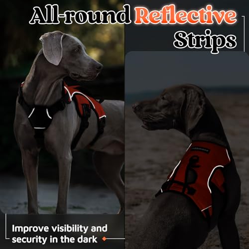 Escape Proof Dog Harness for X (Orange / X-Large)