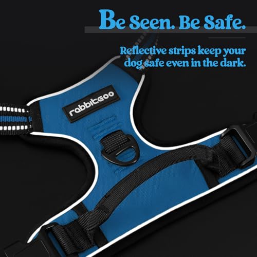 Dog Harness No Pull Medium Sized with 2 Leash Clips (Medium / Blue)