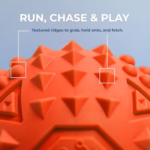 Squeaky Dog Toys with Soft Durable Fabric for Small (Orange / Large)