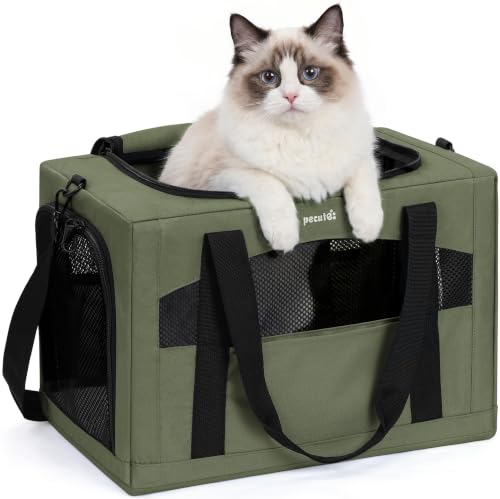 Cat Carrier Stable (Green / 18.5"L x 12.9"W x 11.8"H)