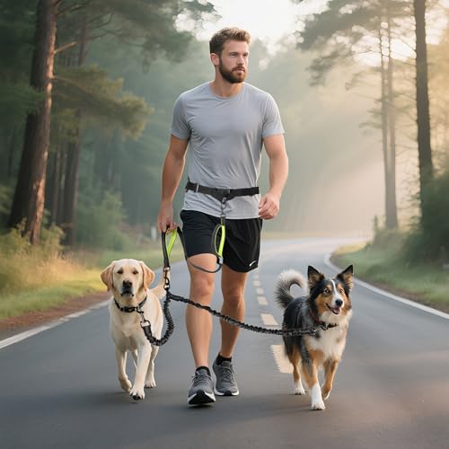 Hands Free Dog Leash for 2 Dogs (for Two Dogs / Black/Green)
