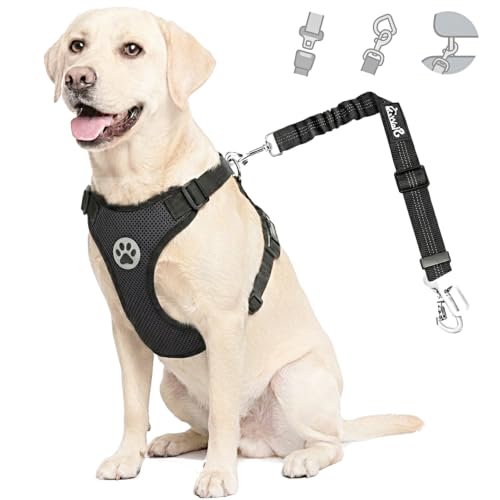 Dog Car Harness Seat Belt (Large / Black)