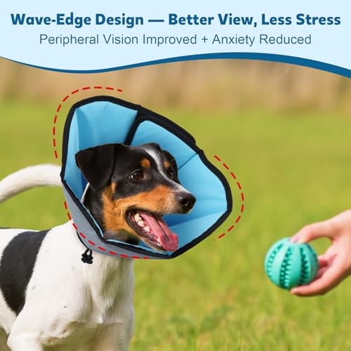 Soft Dog Cone Collar After Surgery (Blue / L(Neck:12.7"-17.4"/Depth:10.2"))