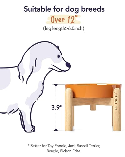 Ceramic Slow Feed Dog Bowls (Sun Orange+Stand / S-0.6 Cups)