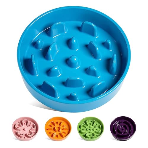 Slow Feeder Dog Bowls Ceramic (Vortex Blue / L-3 Cups)