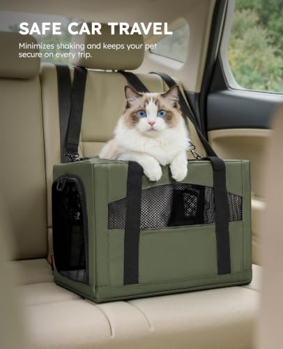 Cat Carrier Stable (Green / 18.5"L x 12.9"W x 11.8"H)