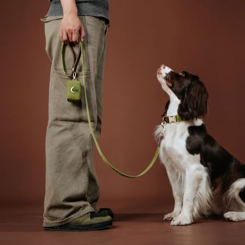 PU Leather Dog Leash for Medium Dogs (Olive Green / 3/4''x 5FT)