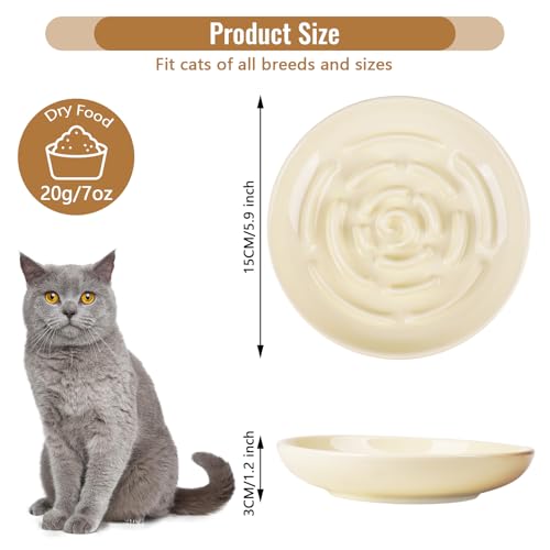 Slow Feeder Cat Bowl Set of 2 (cream)