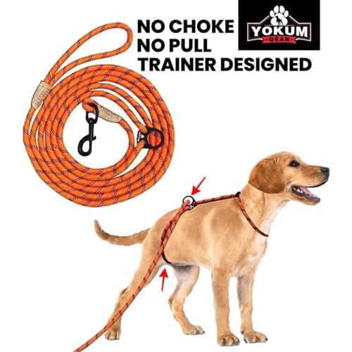 12ft No Pull No Choke Leash Long Rope Dog Leash (12 Ft / ORANGE)