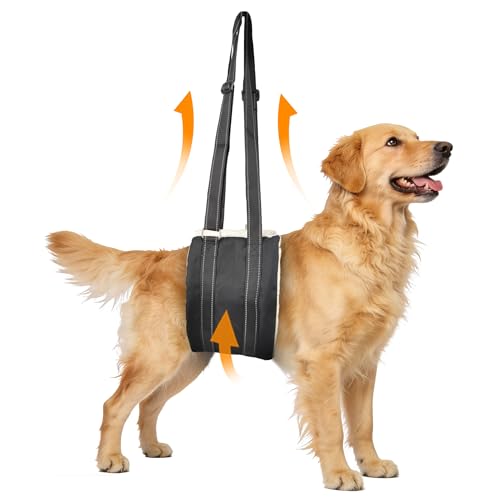 Dog Lift Harness (Black02)