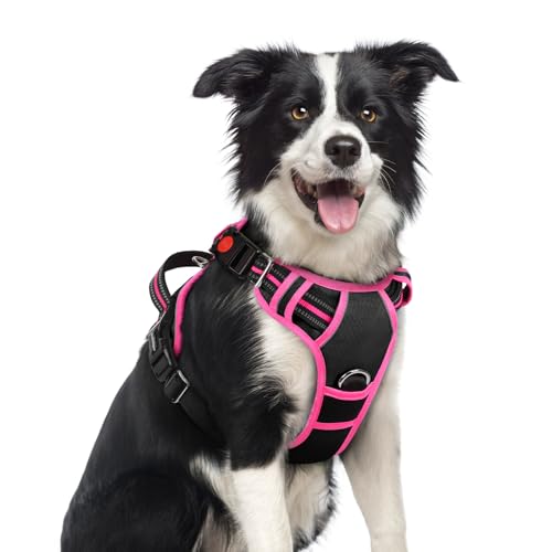 Dog Harness Medium Sized (Black & Pink / Medium)