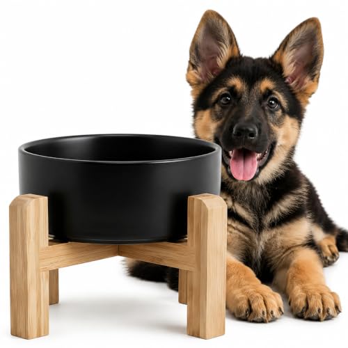 Elevated Ceramic Dog Bowl with Bamboo Stand (Black / 3.6Cup)