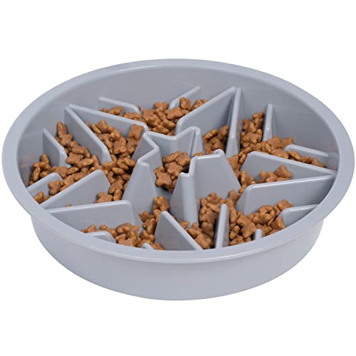 Raised PET FEEDERS Slow Feed Dog Bowl (4 Cup / Gray)