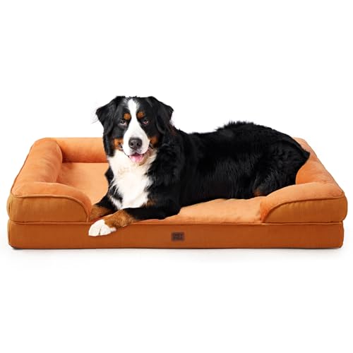 Orthopedic XXL Dog Bed (Pumpkin Orange / 52.0"l X 41.0"w X 8.0"th)