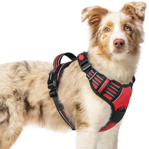Dog Harness Medium Sized (Medium / Red)