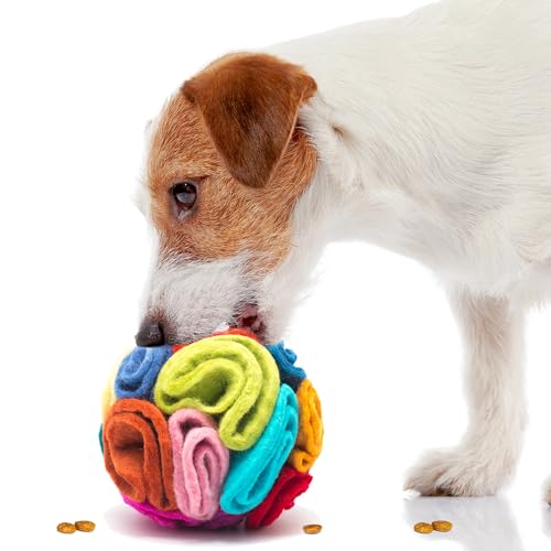 Snuffle Ball for Dogs