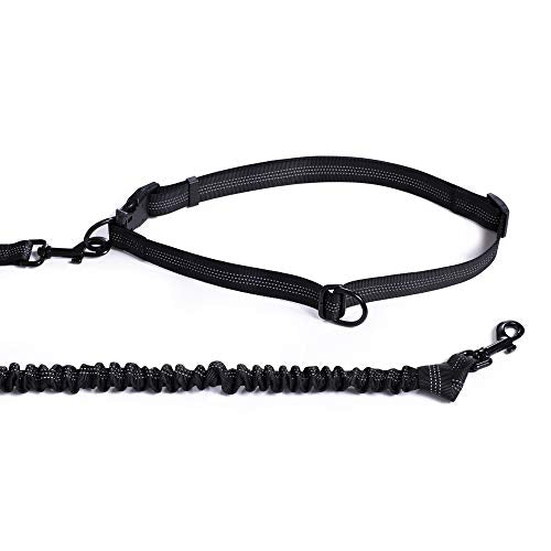 Hands Free Leash (Black Blue / 7FT Hands Free)